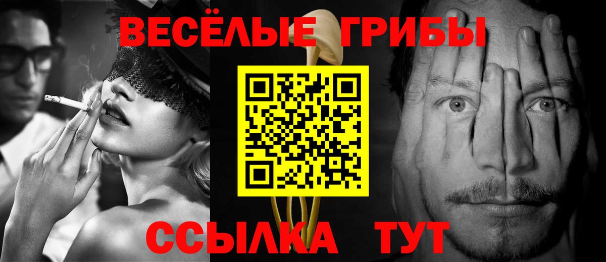 Галлюциногенные грибы мицелий  Вход с VPN  Галлюциногенные грибы MAGIC MUSHROOMS  Дзержинский 